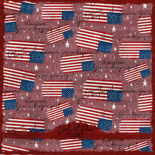Not Your Mamas 4th of a July Collab You in Danger America